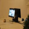 images/portfolio/fotografia/albumPAROLE_E_GESTI_08_09_22/PAROLE E GESTI_2022_09_08_233_low.jpg